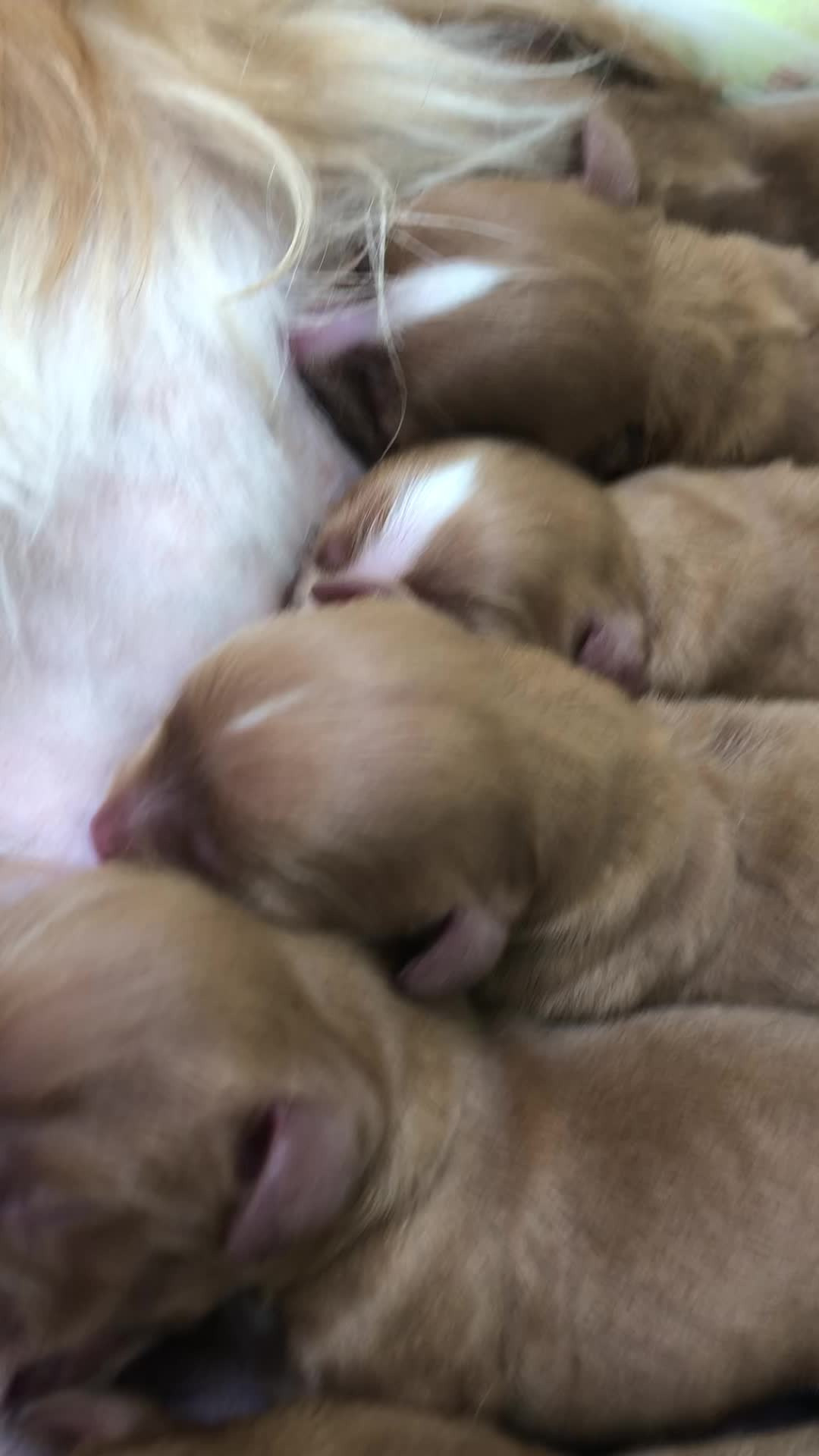 Nyt på opslagstavlen i Herning