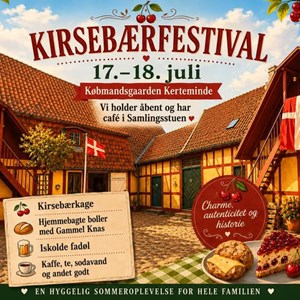 opslagsbillede
