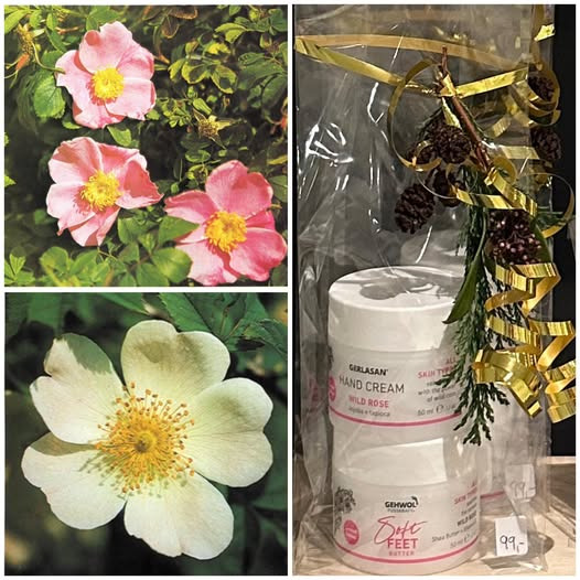 En Glad Krop lancerer limited edition gavepakker med vildrose duft til jul