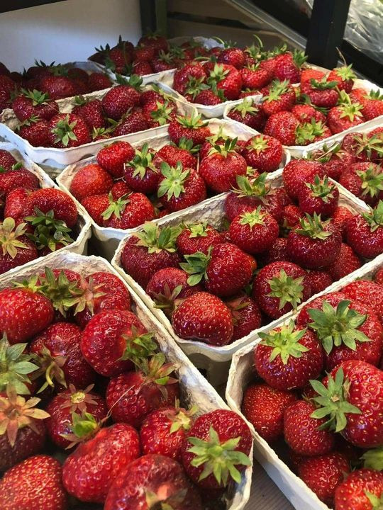 Hold trit med lokalområdet: Nyt fra Silkeborg