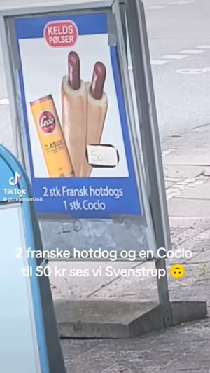 opslagsbillede