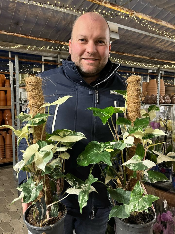 Hold trit med lokalområdet: Nyt fra Horsens