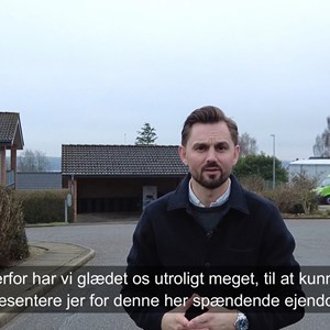 Opslagsbillede