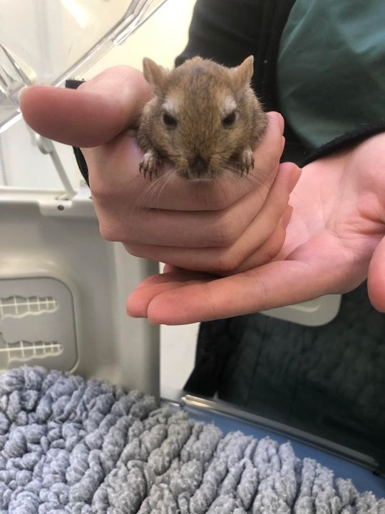 Hold trit med lokalområdet: Nyt fra Herning