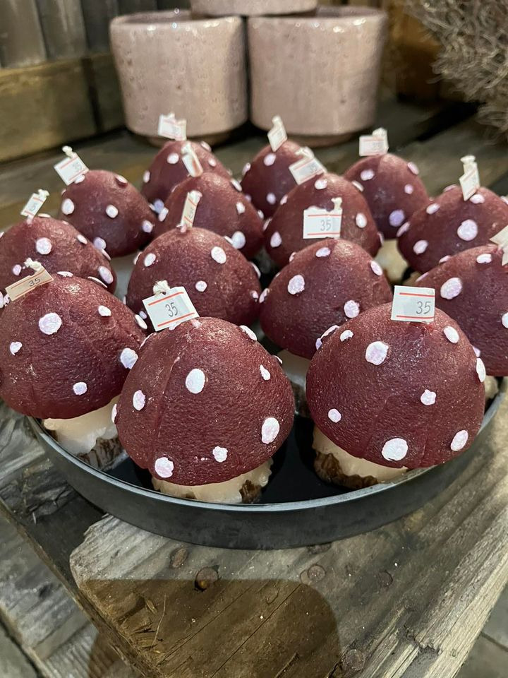 En finger på pulsen i Odder