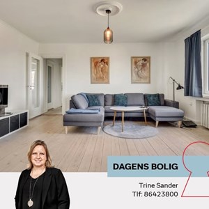 Opslagsbillede