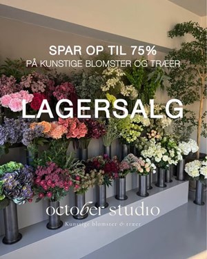opslagsbillede