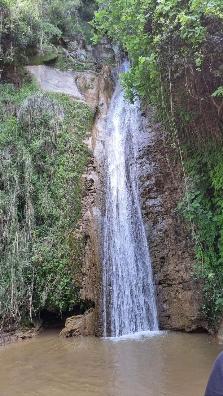 Hold dig ajour med dagens opdateringer fra Ikast