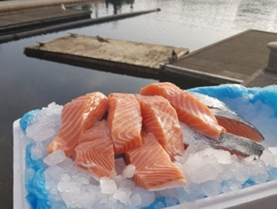 Det nyeste på Randers’ opslagstavle