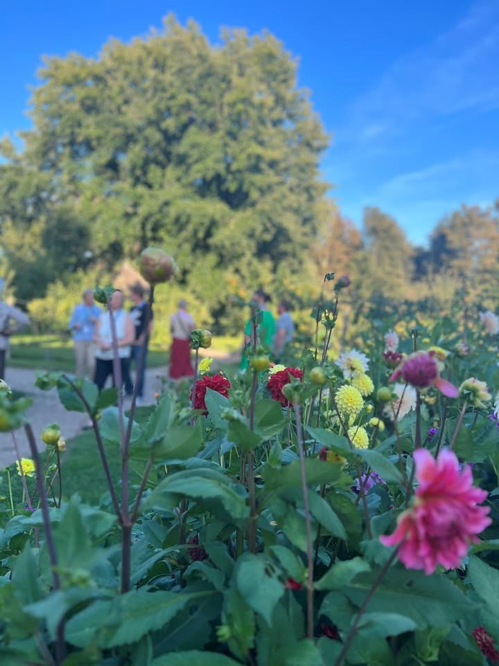 Erhverv og Turisme Kerteminde inviterer til tilmelding til Beyond Beta Accelerator 2026