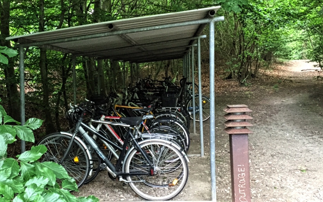 Oplev Hareskovens svampe og natur på en guidet tur