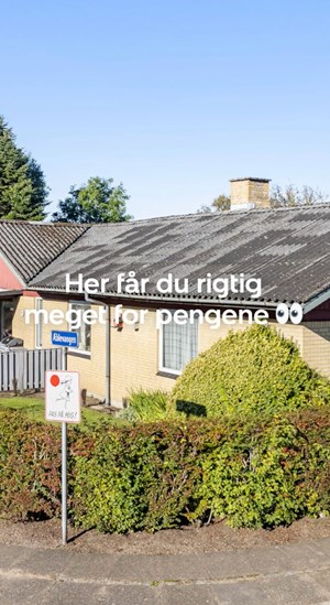 opslagsbillede