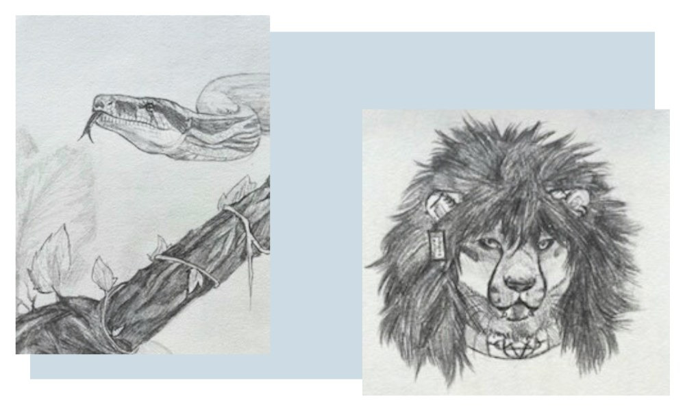 Tegneværksted i sommerferien åbner på Skive Kunstmuseum