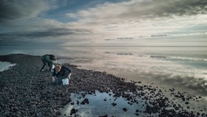 Oplev en unik østerssafari i Vadehavet