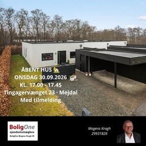 Opslagsbillede