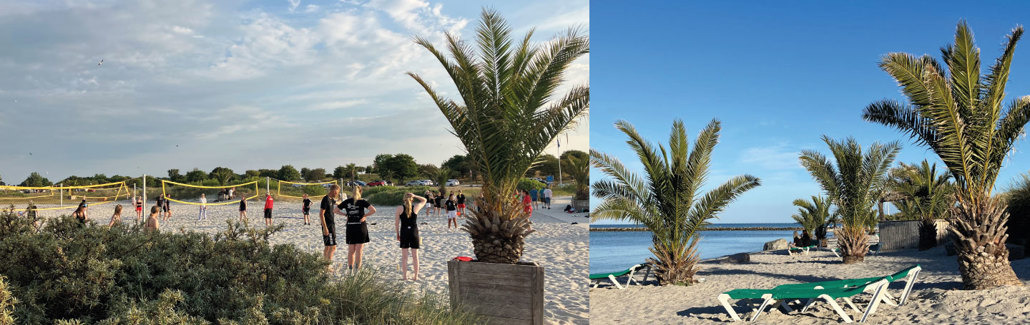 Palmestranden i Frederikshavn fortryller med sydlandsk flair og kommende attraktioner