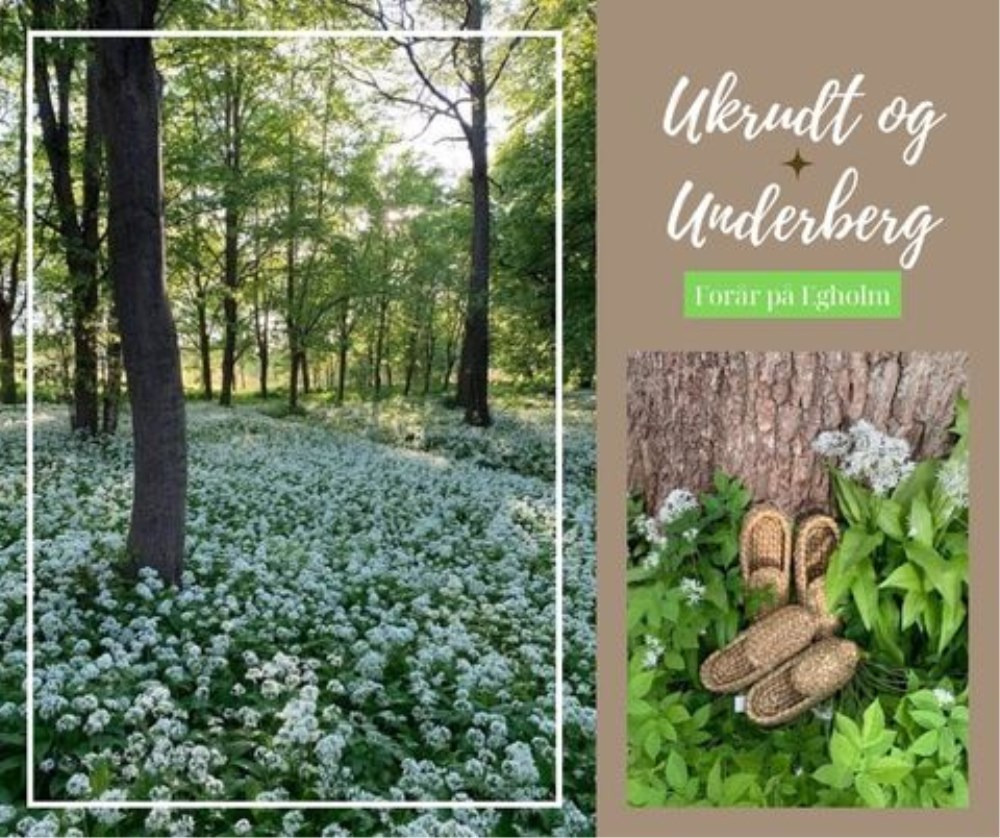 Udforsk Egholm Slot og smag på naturen