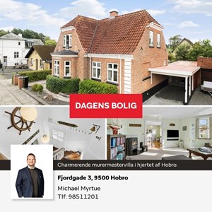 Opslagsbillede
