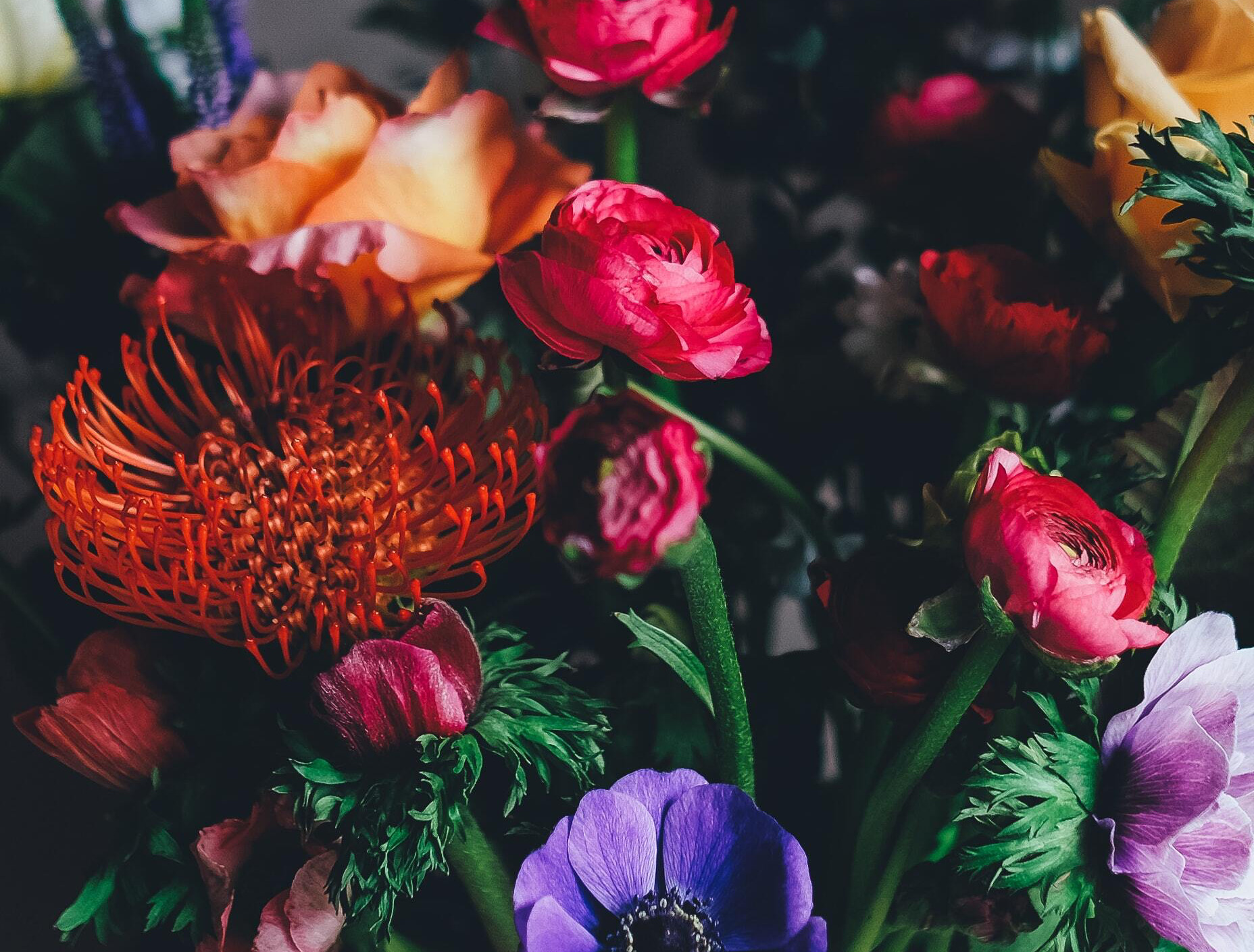 Handicapprisen for 2021 er fundet