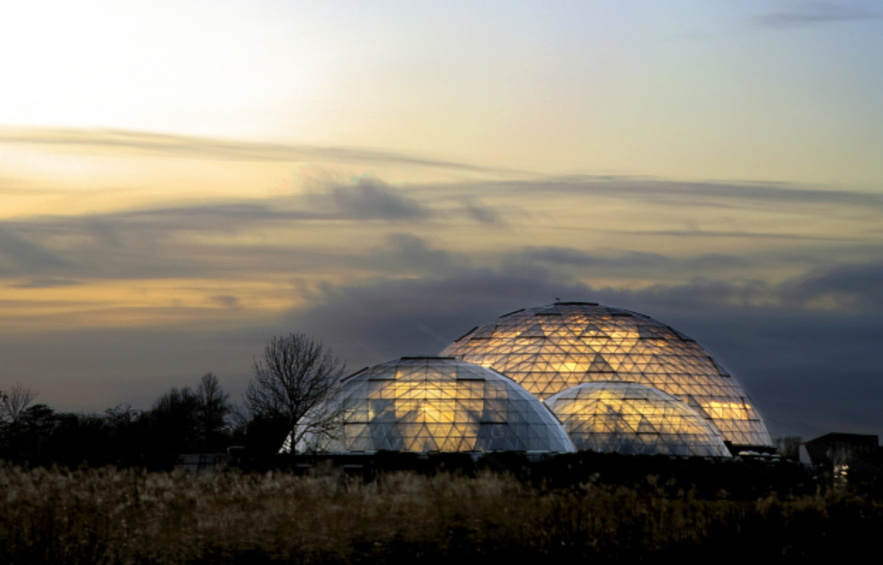 Randers Regnskov trækker sit tilbud tilbage