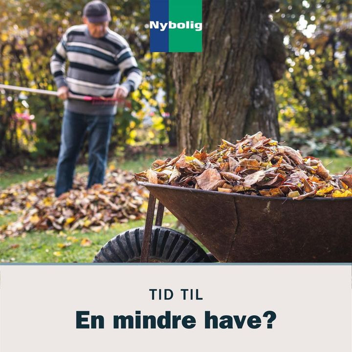 Opslagstavlen: Nyeste opdateringer fra Aalestrup