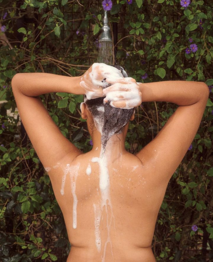 Zenz introducerer økologisk avocadoolie til behandling af tørt hår og hovedbund