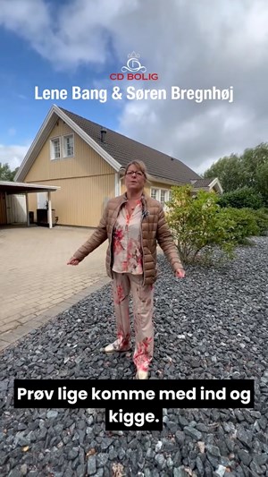 opslagsbillede