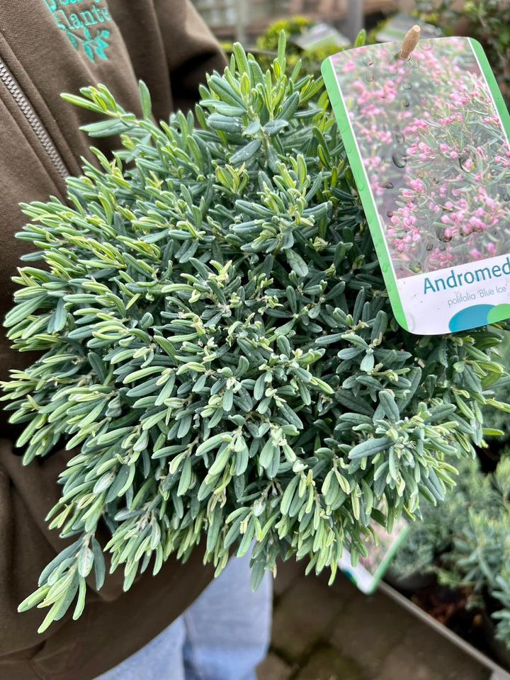 Hold trit med lokalområdet: Nyt fra Sæby