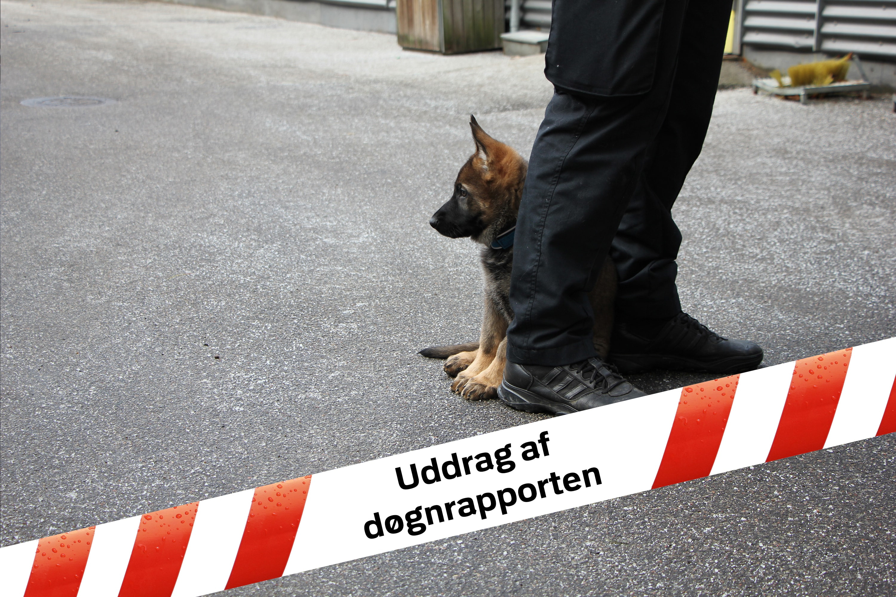 Nyt fra Ringsted i politiets døgnrapport