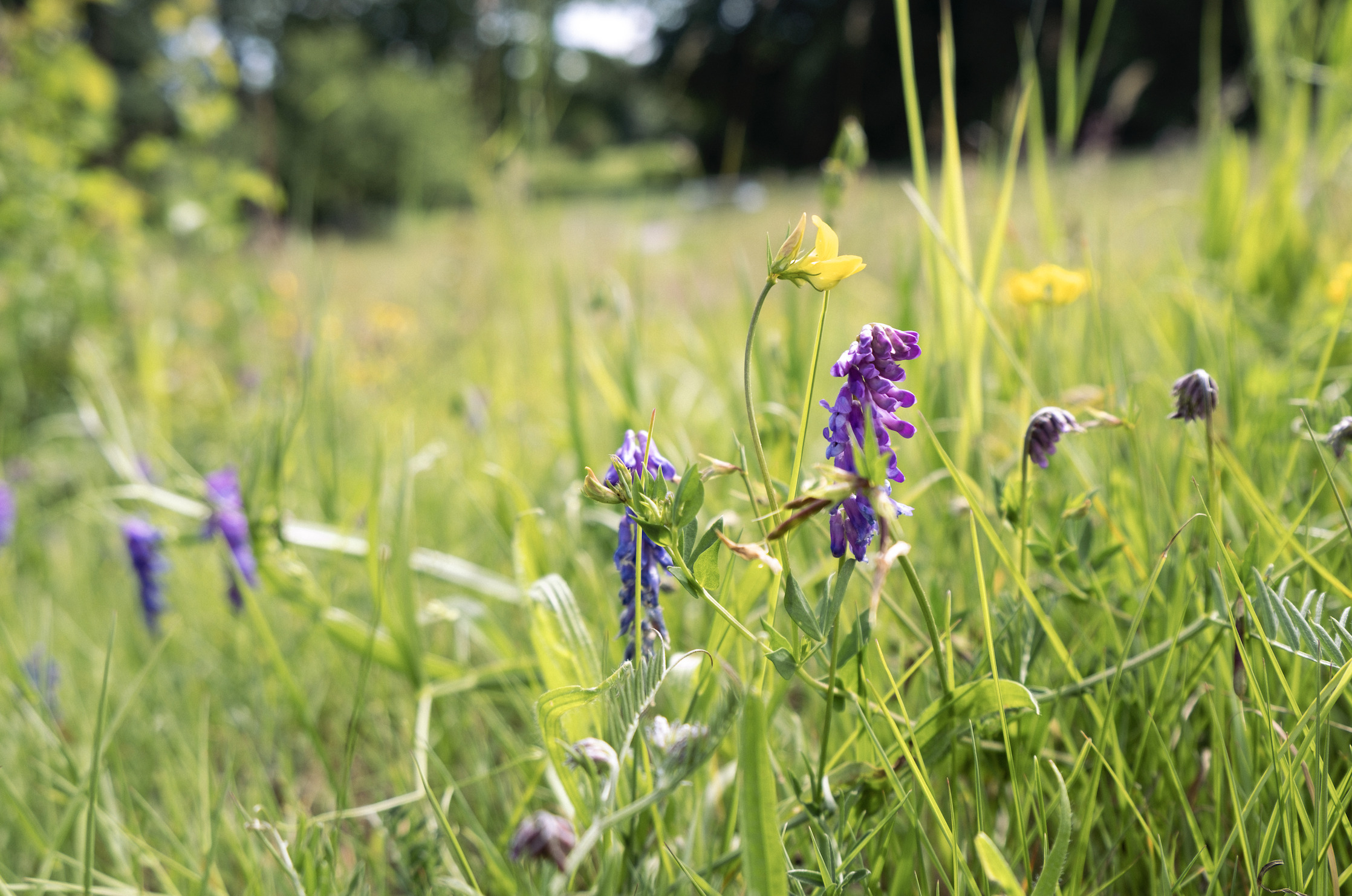 Begivenhedsrige dage på Posthuset i Ballerup