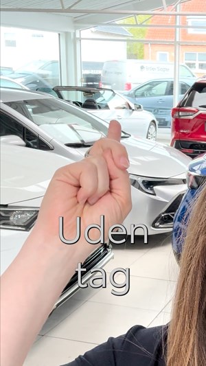opslagsbillede