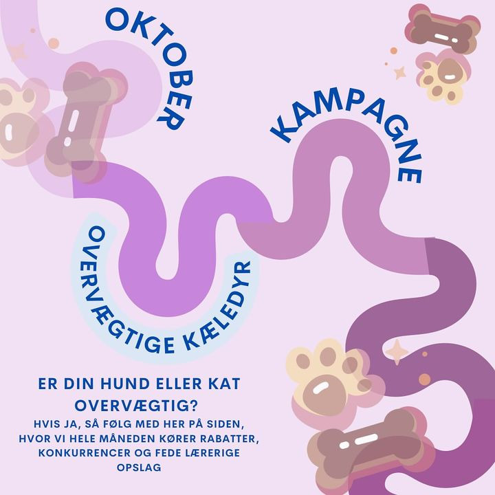 Center Dyreklinik tilbyder gratis vægttabskonsultation for overvægtige kæledyr i oktober