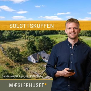 Opslagsbillede
