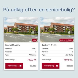 opslagsbillede