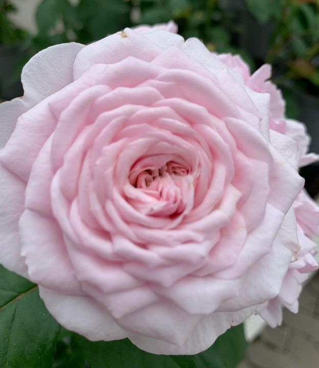 En finger på pulsen i Brønderslev