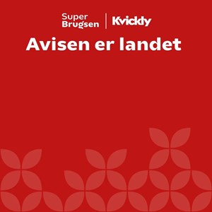 Opslagsbillede