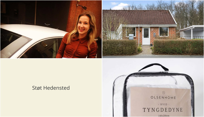 Nyt fra Lets Drive, Midtjysk blomstermarked  og EDC Mæglerne Hedensted