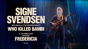 Musikalske oplevelser i Tøjhuset: Fra strygerensemble til boyband nostalgi