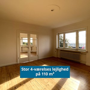 Opslagsbillede