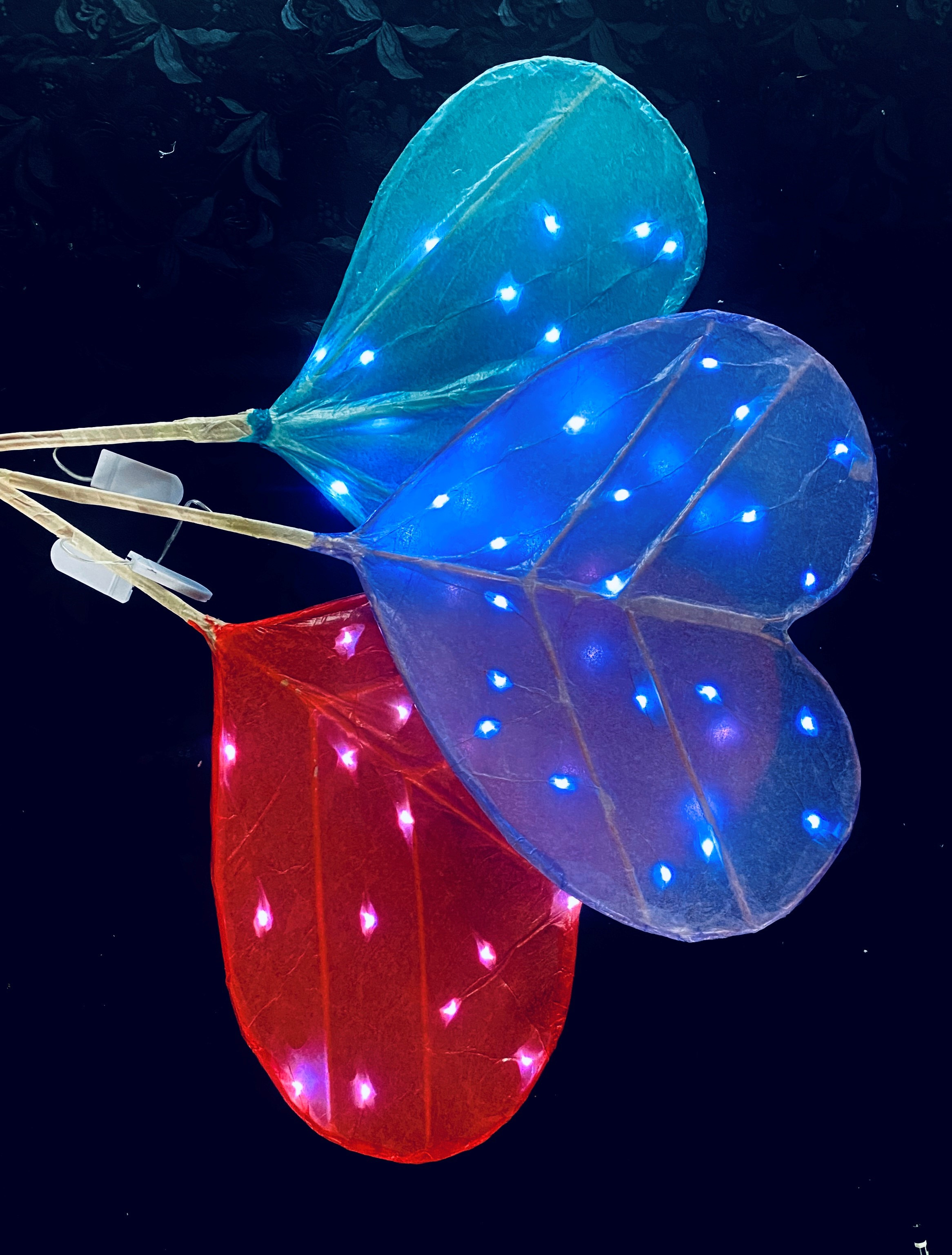 Vær med til at skabe magi med lyslanterner i Sorø