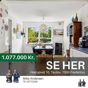 Opslagsbillede