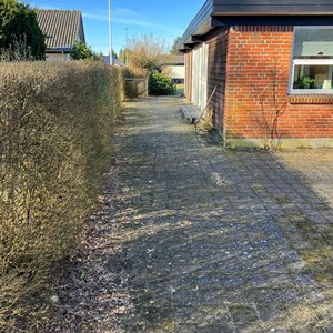 Opslagsbillede