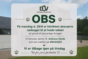 opslagsbillede