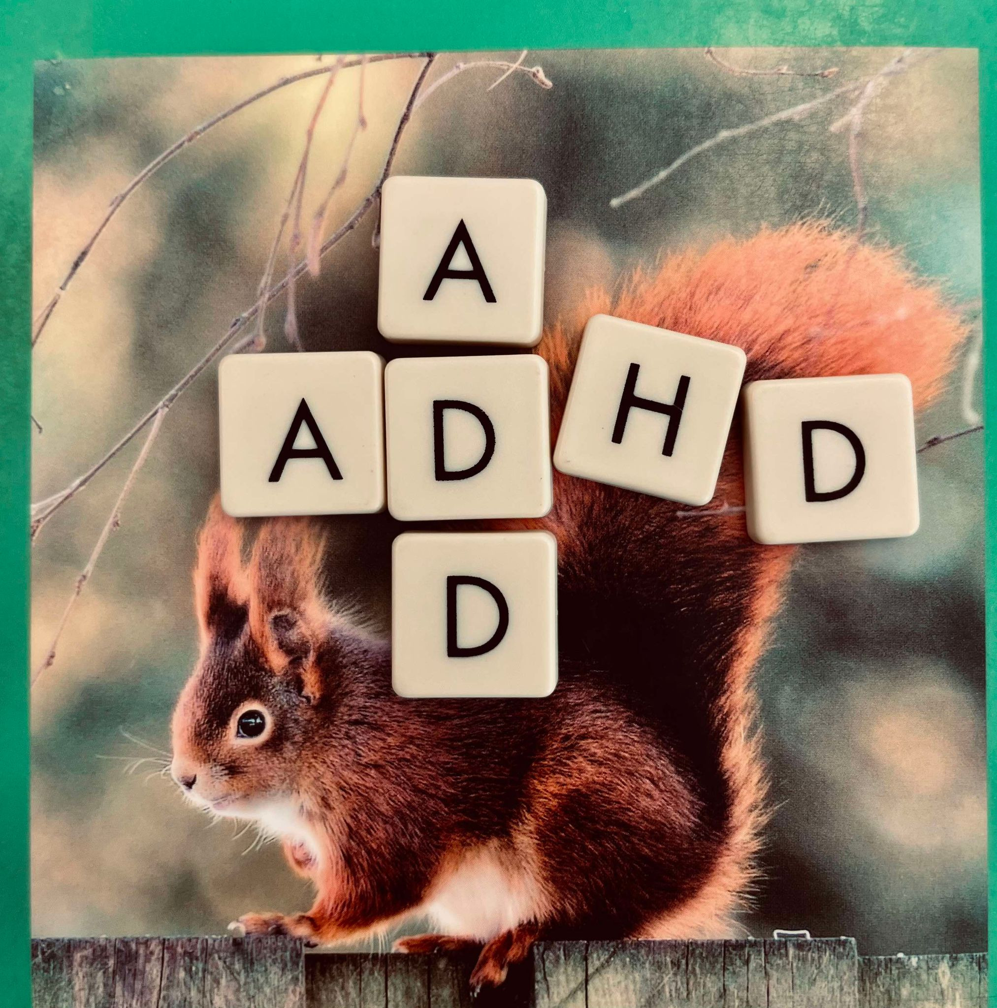 To spændende arrangementer på Samsø Bibliotek