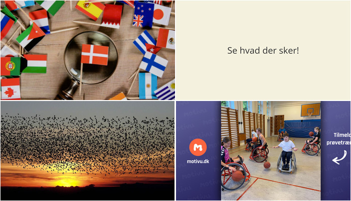 Oplev Kultur- og Sprogcafe, Sort Sol og Para-idræt i Skærbæk den kommende uge