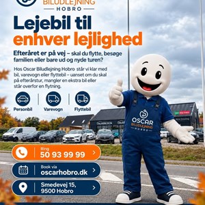 Opslagsbillede
