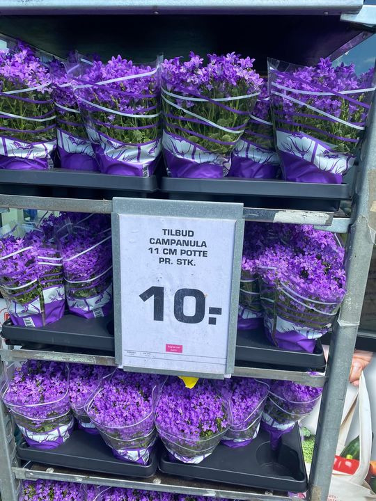 Se dagens updates fra Viby J her