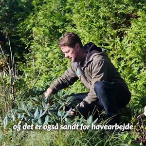 Opslagsbillede