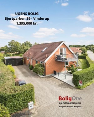 opslagsbillede