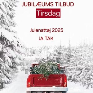 Opslagsbillede
